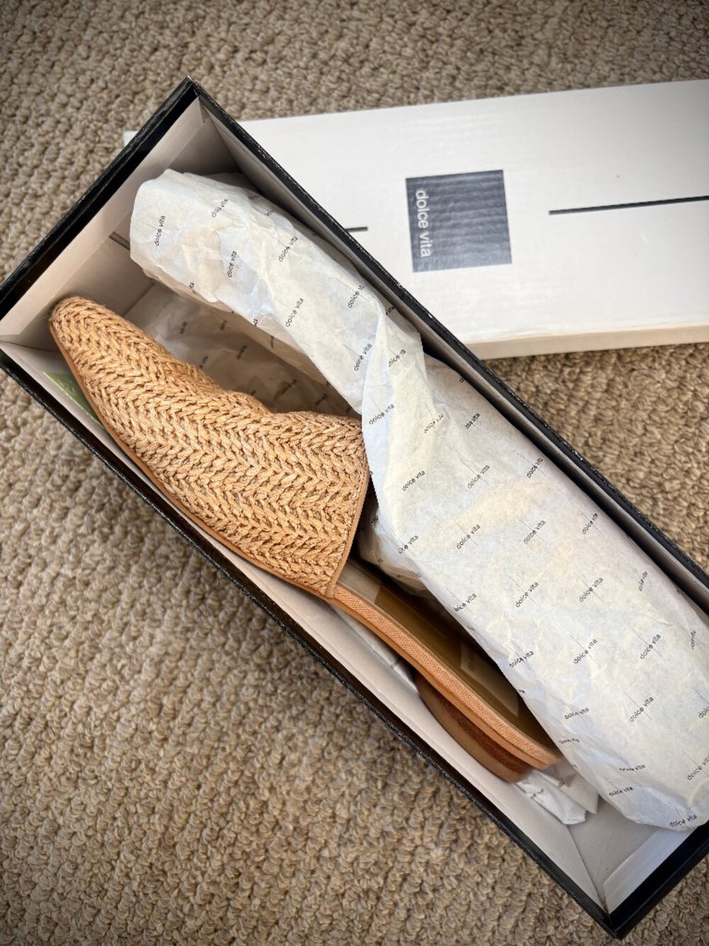 Dolce Vita "Ezra" Pointed Natural Raffia Flats, 7M - Picture 12 of 14